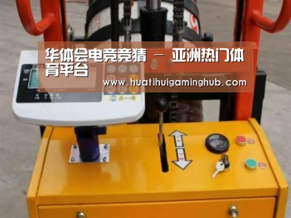 华体会平台案例展示三