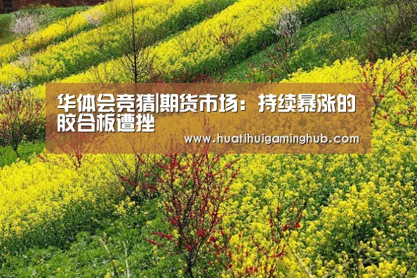 华体会竞猜|期货市场:持续暴涨的胶合板遭挫(图4) 华体会平台