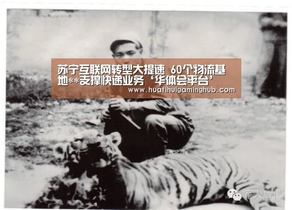 苏宁互联网转型大提速 60个物流基地**支撑快递业务‘华体会平台’(图1) 华体会APP