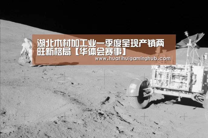 湖北木材加工业一季度呈现产销两旺新格局【华体会赛事】(图1) 华体会APP