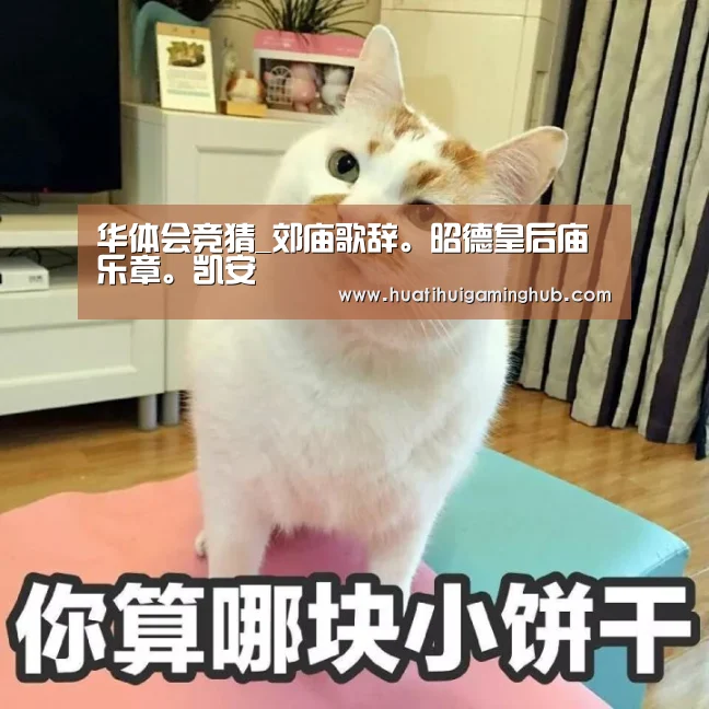 华体会APP