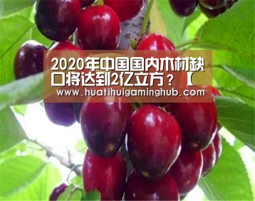 2020年中国国内木材缺口将达到2亿立方?【华体会竞猜】(图2) 华体会赛事