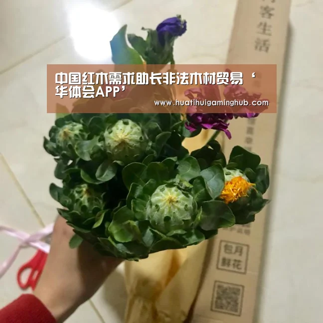 华体会竞猜