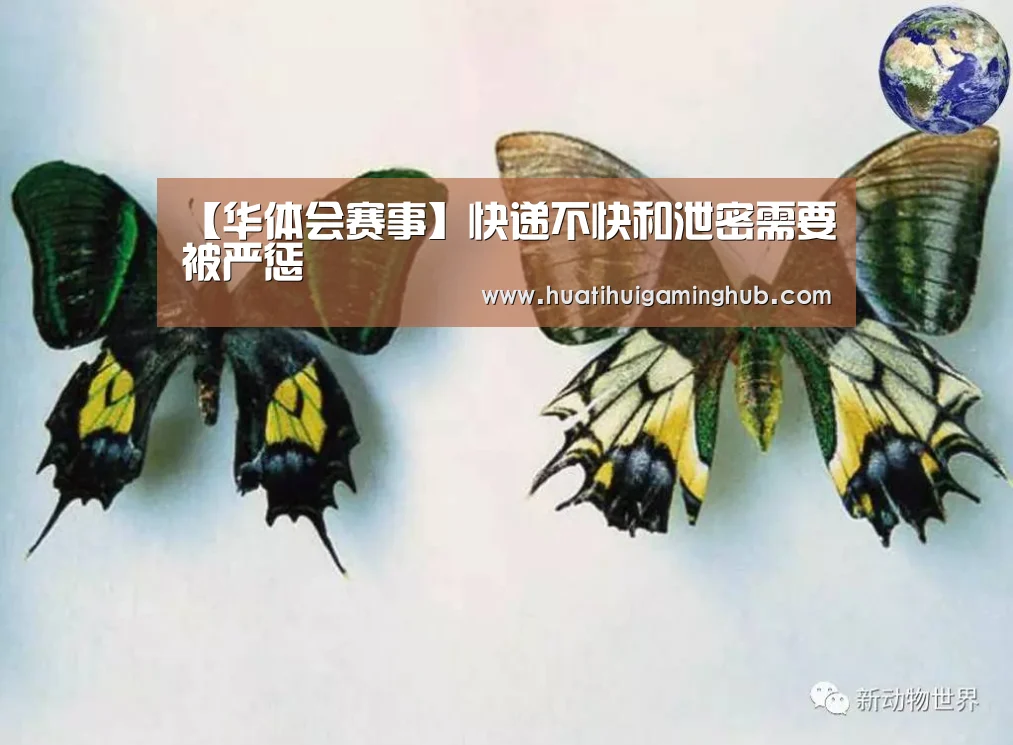 【华体会赛事】快递不快和泄密需要被严惩(图1) 华体会赛事