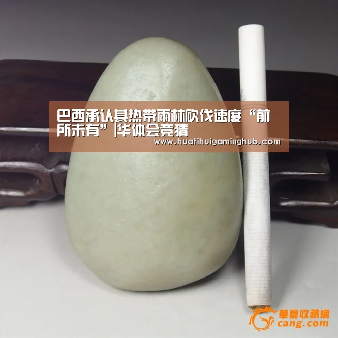 巴西承认其热带雨林砍伐速度“前所未有”|华体会竞猜(图2) 华体会平台