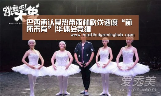巴西承认其热带雨林砍伐速度“前所未有”|华体会竞猜(图4) 华体会赛事