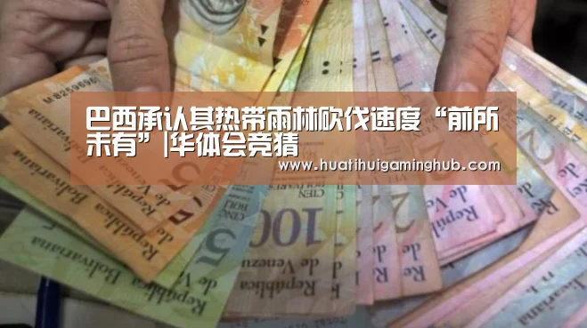 巴西承认其热带雨林砍伐速度“前所未有”|华体会竞猜(图3) 华体会竞猜