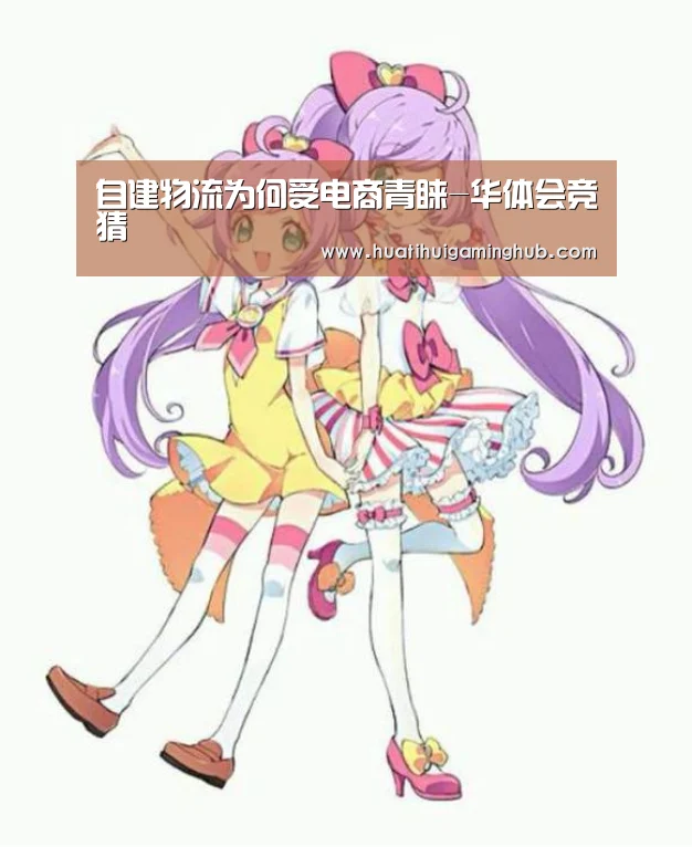 自建物流为何受电商青睐-华体会竞猜(图2) 华体会赛事